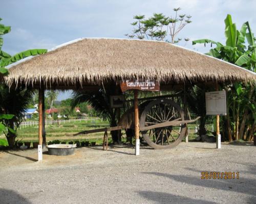 Attraction Image
