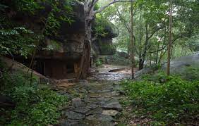 Attraction Image